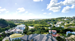 Point Saline & Calliste